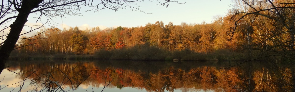 herfst.png